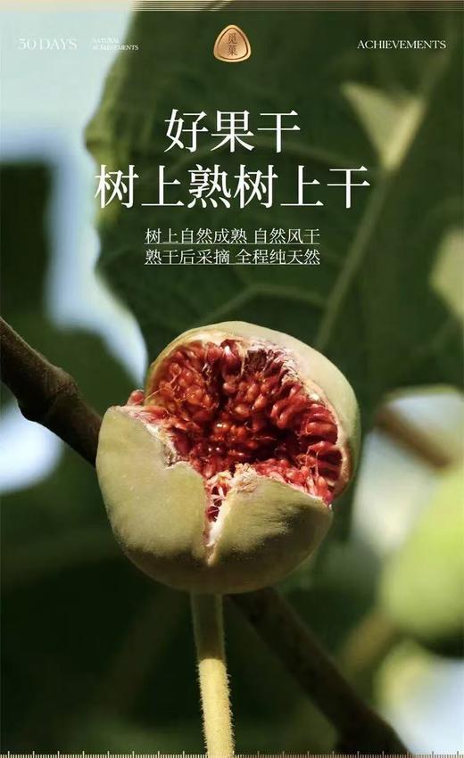 觅菓晚松AA+阿富汗手剥大松子268g，源自阿富汗海拔约3000m的高山松林，严选长度在21mm的饱满大松子~觅菓玫瑰无花果干AA+338g，源自伊朗荒漠高原“玫瑰”，原料纯天然~ 商品图5