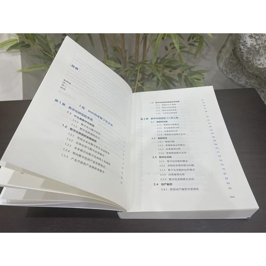 数字化转型模式与创新:从数字化企业到产业互联网平台 商品图2