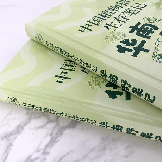 中国植物猎人生存笔记:华南野果记 商品图4