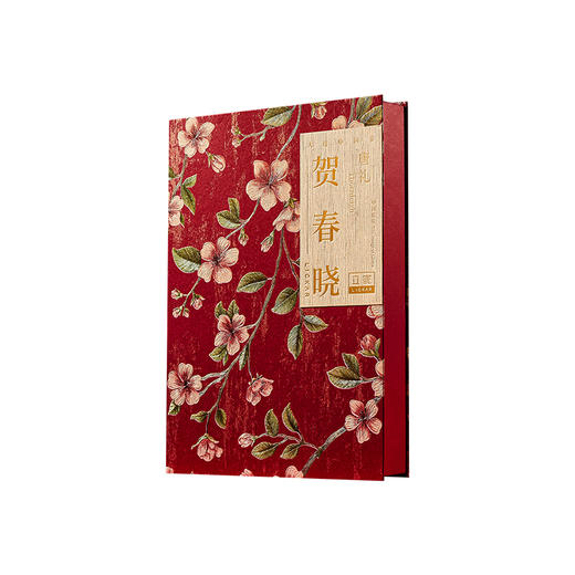 【汇总SKU】立家贺春晓（高超款书型盒） 新春文创盲盒祝福礼盒 345g  茶菓子 奶酥 糕点 商品图7
