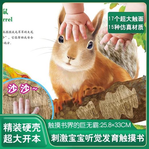 宝宝的第一本精美触摸书 商品图4