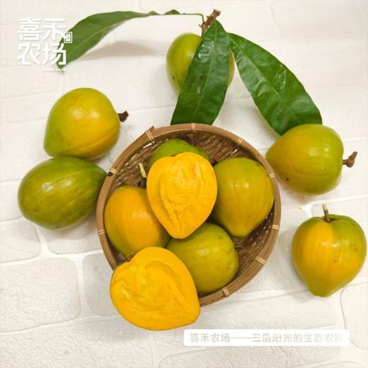 喜禾农场海南鸡蛋果5斤装（9-13个） 商品图1