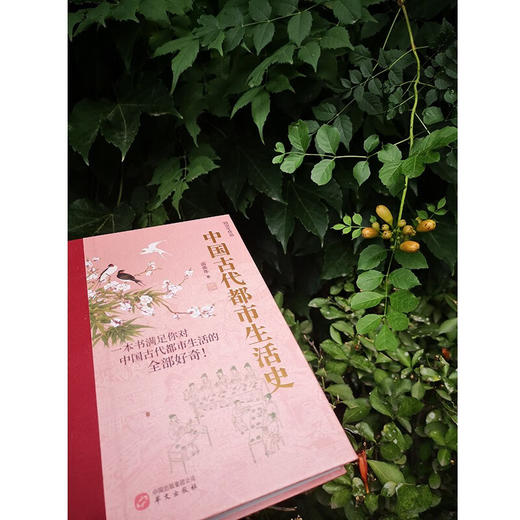 中国古代都市生活史 商品图3