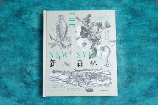 新森林志:遇见树木的科学.历史与艺术 商品图1