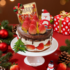 圣诞奇遇【预售周一】