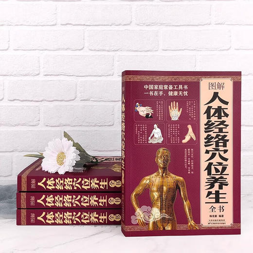 图解人体经络穴位养生全书 商品图1