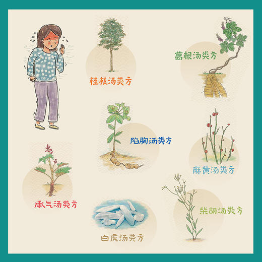 漫画图解：轻松学伤寒论经方 商品图3