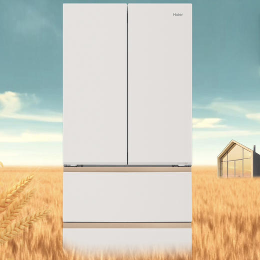 海尔（Haier）冰箱 BCD-510WGHFD1BXHU1 商品图0