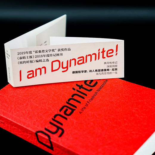 我是炸药!:尼采的一生 商品图2