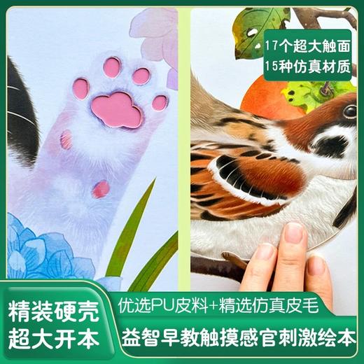 宝宝的第一本精美触摸书 商品图2