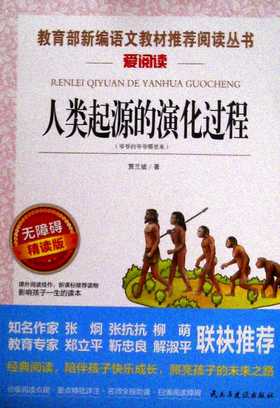 人类起源的演化过程