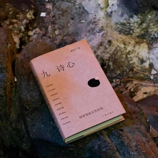 九诗心：暗夜里的文学启明 黄晓丹 著（含限时特惠签名版） 商品图2