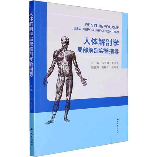 人体解剖学局部解剖实验指导 商品图0
