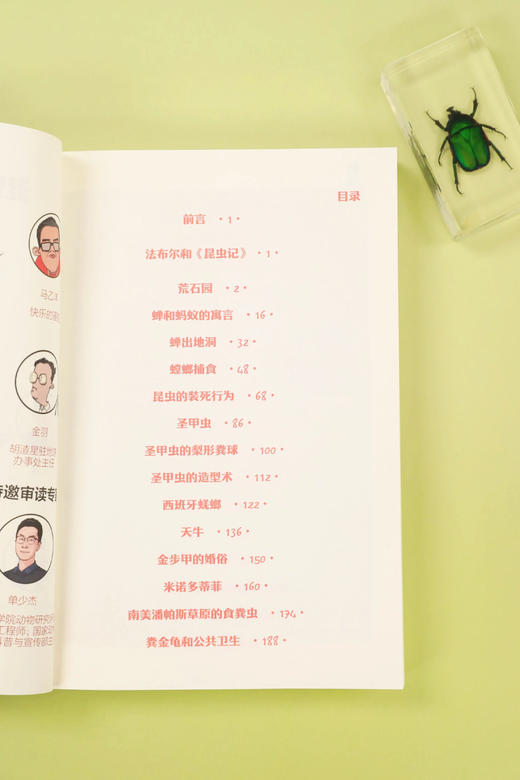 混知.昆虫记（漫画助攻版）【混知出品】 商品图3