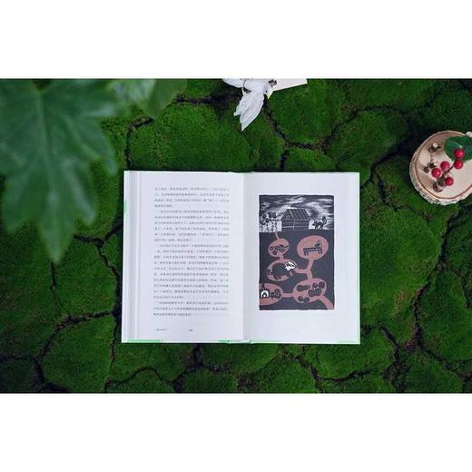 夏日木屋札记:一场跨越物种的生命对话 商品图3