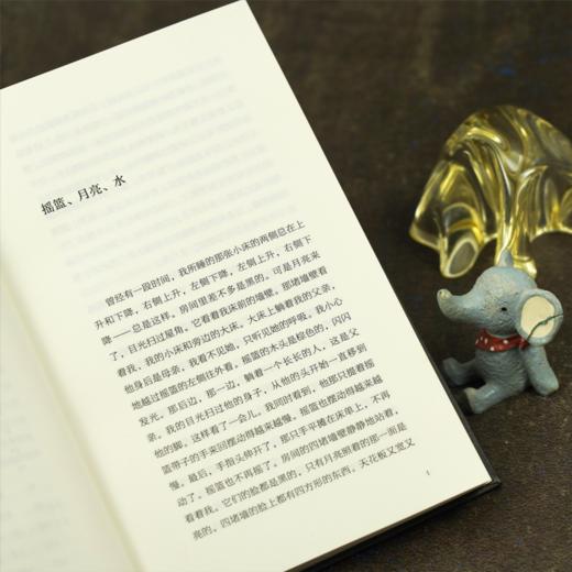 井中男孩 商品图3