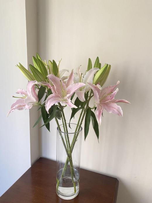 【切尔西香水百合】2头5支10朵/份 商品图7