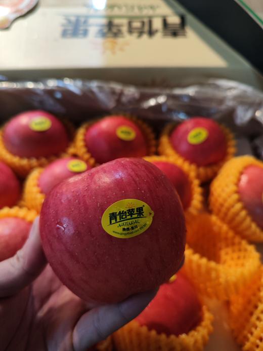 青怡洛川苹果，可以连皮吃的苹果，松脆可口，果香十足（微酸），整件精致外包装 商品图1
