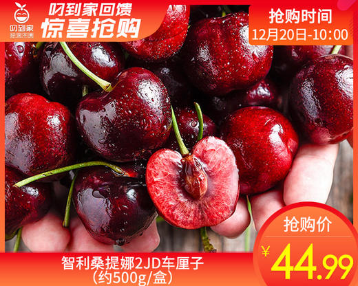 智利桑提娜2JD车厘子（约500g/盒） 商品图0