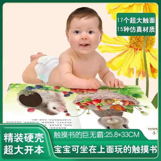 宝宝的第一本精美触摸书 商品图1