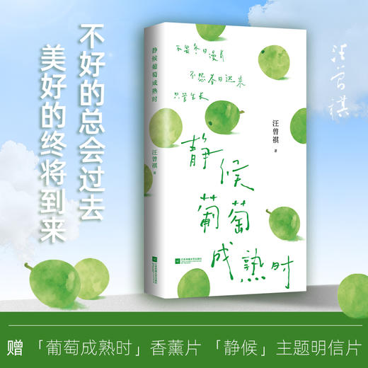 静候葡萄成熟时 汪曾祺散文精选 商品图1