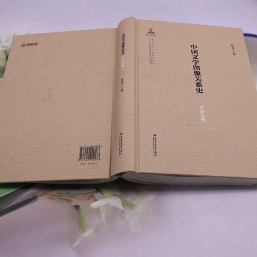 中国文学图像关系史.辽金元卷 商品图3