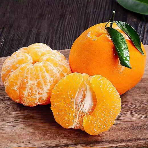 宜昌 长阳岩松坪清江碰柑 商品图3