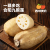 西域美农  陕西合阳九眼莲菜  一藕多吃！凉拌清脆爽口，煲汤粉糯香甜！ 4斤 顺丰发货 商品缩略图1