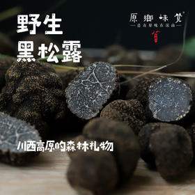 野生黑松露 （基地直发-顺丰包邮）| 3-5cm，5cm+，1斤装，来自四川凉山，采集者：凉山当地彝民【合作生产，公平贸易】
