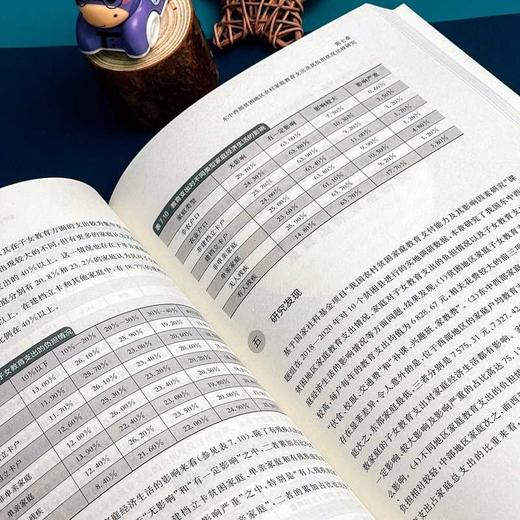 通路:农村家庭教育支付能力探索 商品图3