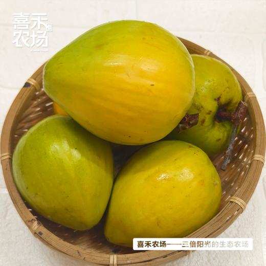 喜禾农场海南鸡蛋果5斤装（9-13个） 商品图3