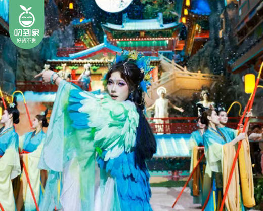 【屿见闽南】时光幻境-全新仙侠主题演出门票/1张（仅限1月2日使用）【叼生活】 商品图4