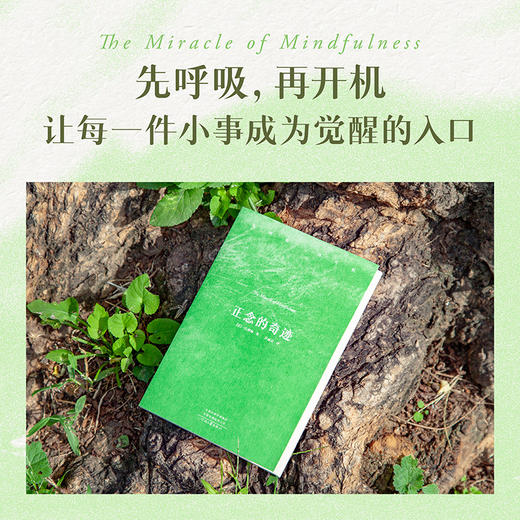 正念的奇迹（WX） 商品图5