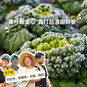 生态黄心乌塌菜 | 绿家自产 * Ecological Yellow-heart Chinese Flat Cabbage | In-House Production