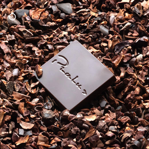 企鹅市集|法国Pralus普阿鲁斯巧克力 单源产地 10产地20小片品鉴组合 礼盒装100g 商品图6