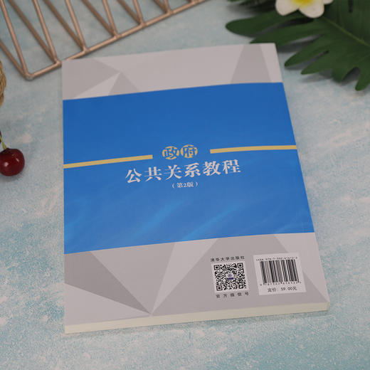 政府公共关系教程(第2版) 商品图4
