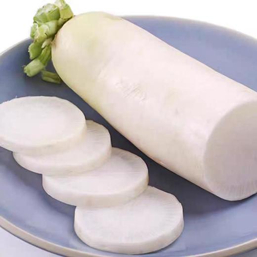 【SF】新鲜白萝卜 商品图2