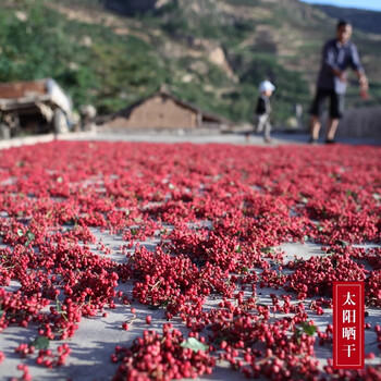 蜀姑娘四川汉源红花椒140g  花椒麻椒特麻特香 干花椒粒调味料 /粮油调味 /调味品 /复合香辛料 商品图3