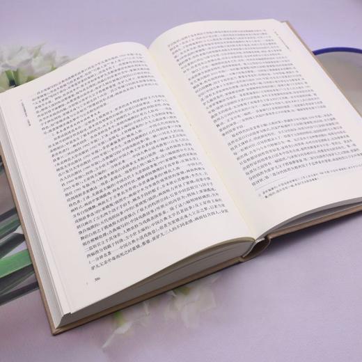 中国文学图像关系史.辽金元卷 商品图4