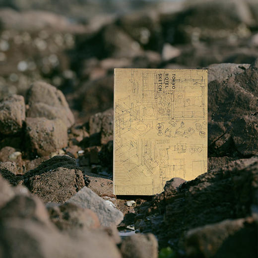 中信出版 | 东京名宿/日本书屋 远藤慧 商品图3