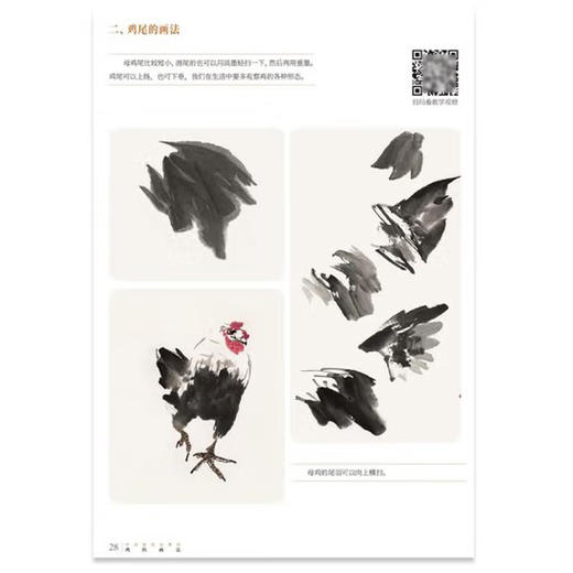 鸡的画法 商品图2