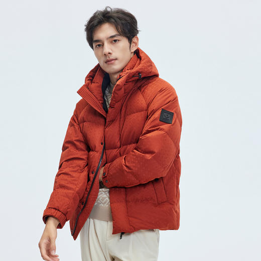 【门店同款&鸭绒】圣得西2025年冬季新款羽绒服主题提花时尚外套 商品图2