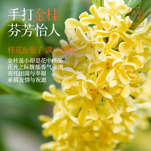 嘉华鲜花饼 桂花酒酿酥-6枚礼盒 300g/盒 商品图2
