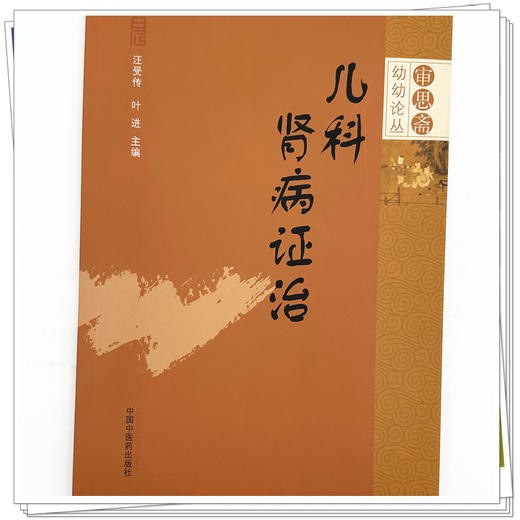 儿科肾病证治 审思斋幼幼论丛 汪受传 叶进 论述小儿水肿 五迟 五软 侏儒 性早熟 肾病综合征 急性肾小球肾炎等 中国中医药出版社 商品图4