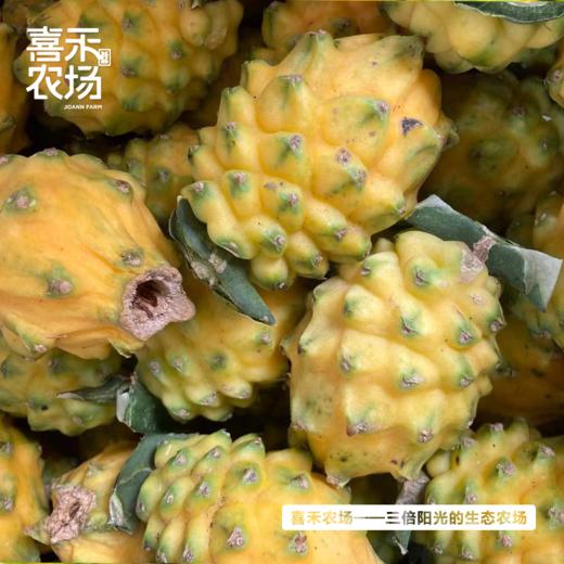 喜禾农场海南燕窝果 2斤装6个 | 清甜可口、口感独特、如“燕窝”般丝滑~ 商品图3