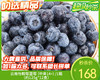 云南怡颗莓蓝莓（中果14+）/1箱（约125g*12盒） 商品缩略图0