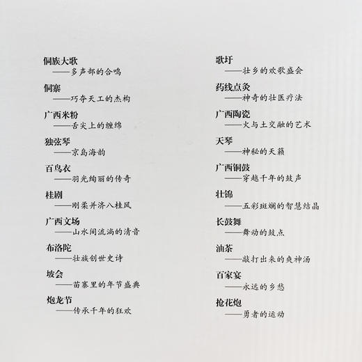 非遗广西(全20册) 商品图3