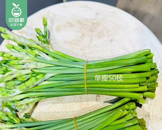 『落神香妃』水仙花枝/1束（约50支） 商品图1