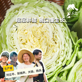生态大白菜（竹筒青，包邮）| 绿家自产* Eco-baby Chinese cabbage group-buy | Self-production