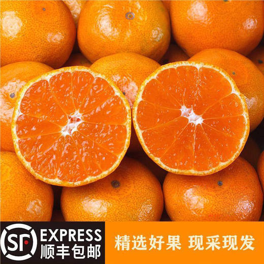 台州临海涌泉蜜桔，核心产区顺丰直发，“橘生山海间，味道自然甜”，蜜桔黄金赏味期，错过再等一年，九甜一酸，果皮超薄，无籽无渣 商品图6